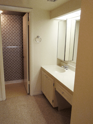 Vanity downstairs
