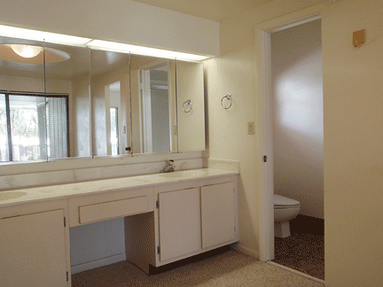 Master bath toilet and shower