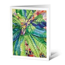 mango leaves