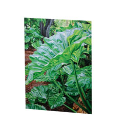 philodendrons