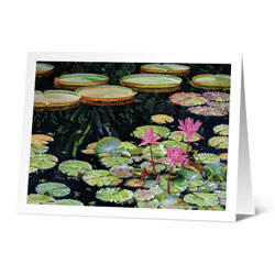 water lilies