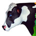 Miami Lakes Cow