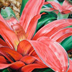 Bromeliad & Brom. Jr.