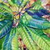 Mango Leaves