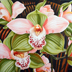 Pink & Green Orchids